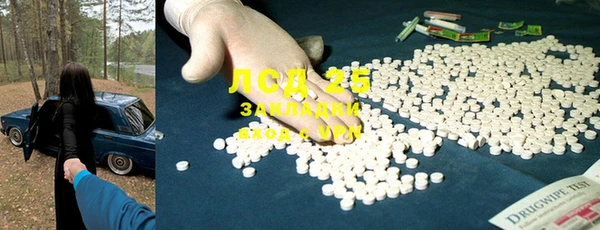 ГАЛЛЮЦИНОГЕННЫЕ ГРИБЫ Алексеевка
