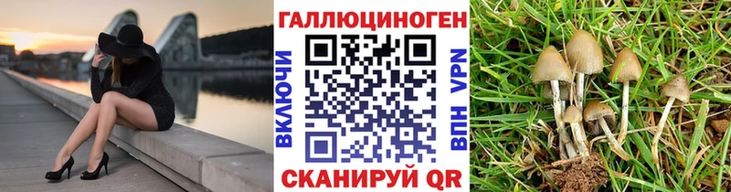 ОМГ ОМГ ТОР  закладка  Медынь  Псилоцибиновые грибы Psilocybe 